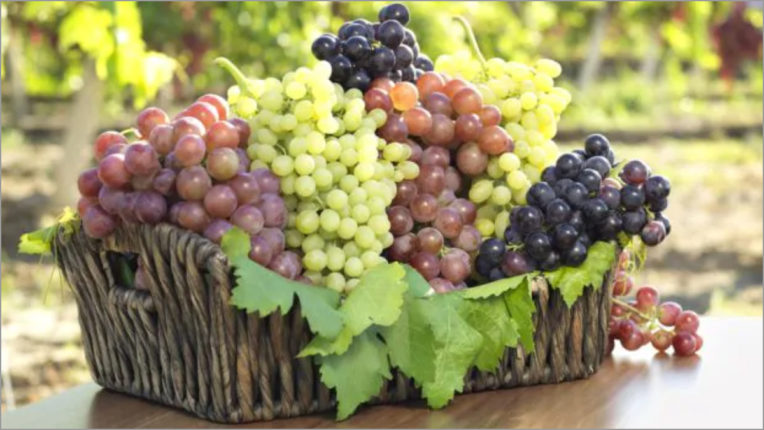 Types of grapes and benefits of red grapes