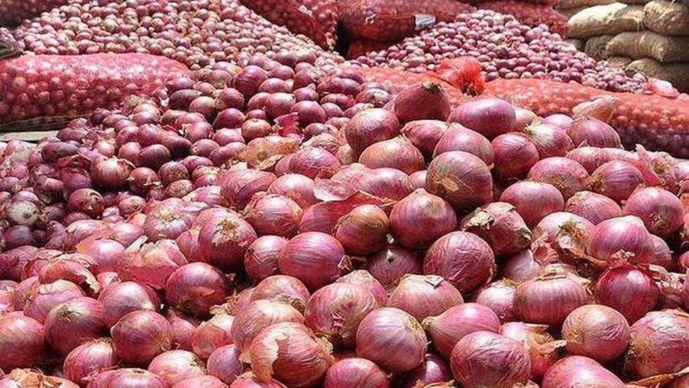 onions, Maharashtra News, Onion Price Hike