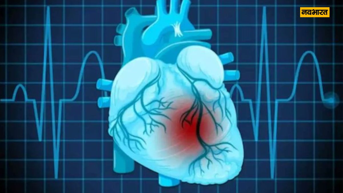 VA-ResNet-50 |  Now the risk of heart attack will not bother you, this AI technology has arrived, know about it.  Presswire18 (Presswire18)