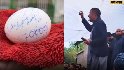 2.26 lakh rupees were received from the auction of eggs in jammu kasjmir